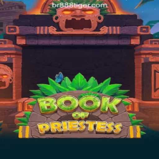 Exploring the World of BookOfPriestess: A Top Brasil Slots Experience